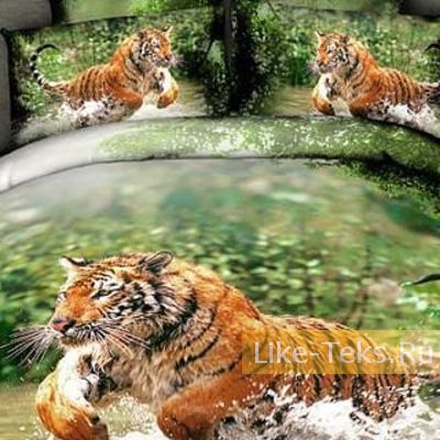 Комплект Сатин 3D ТИГРИНАЯ ОХОТА
